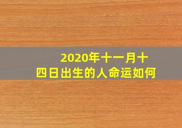 2020年十一月十四日出生的人命运如何