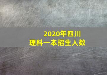 2020年四川理科一本招生人数