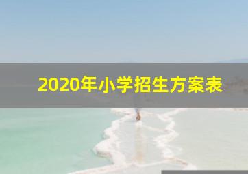 2020年小学招生方案表