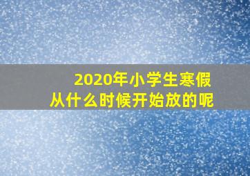 2020年小学生寒假从什么时候开始放的呢