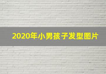 2020年小男孩子发型图片