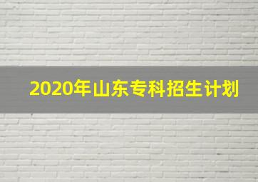 2020年山东专科招生计划