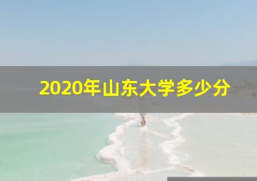 2020年山东大学多少分