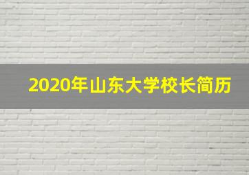 2020年山东大学校长简历