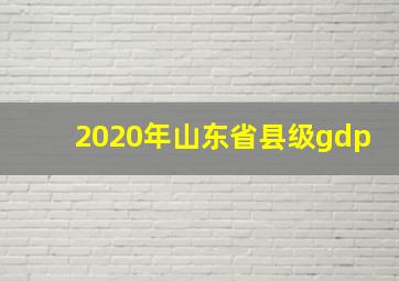 2020年山东省县级gdp