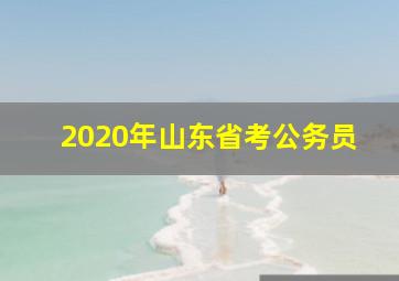 2020年山东省考公务员