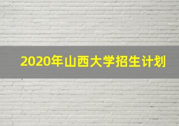 2020年山西大学招生计划