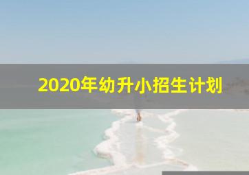 2020年幼升小招生计划