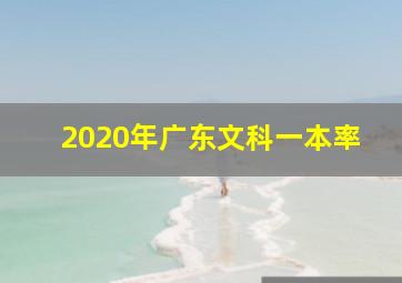 2020年广东文科一本率