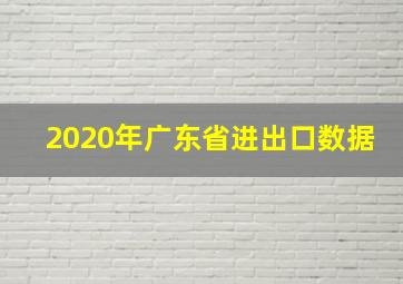 2020年广东省进出口数据