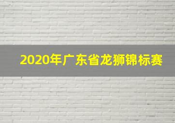 2020年广东省龙狮锦标赛