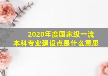 2020年度国家级一流本科专业建设点是什么意思