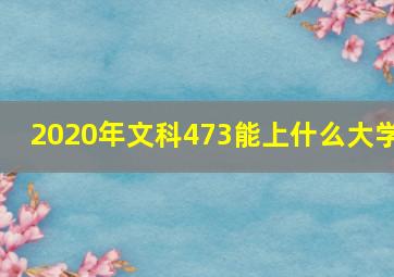 2020年文科473能上什么大学