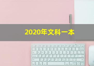 2020年文科一本