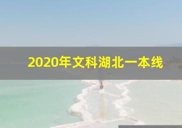 2020年文科湖北一本线