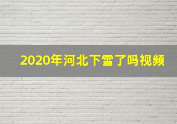 2020年河北下雪了吗视频