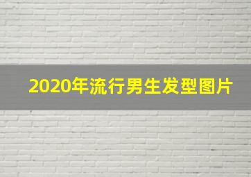 2020年流行男生发型图片