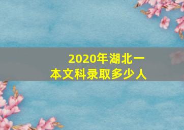 2020年湖北一本文科录取多少人