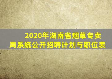 2020年湖南省烟草专卖局系统公开招聘计划与职位表