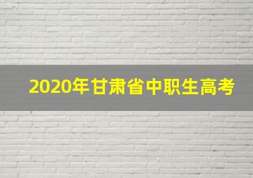 2020年甘肃省中职生高考