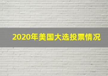 2020年美国大选投票情况