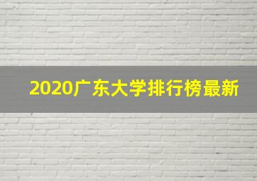 2020广东大学排行榜最新