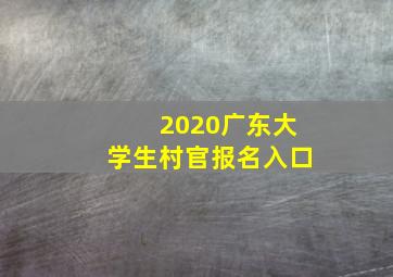 2020广东大学生村官报名入口