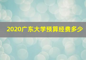 2020广东大学预算经费多少