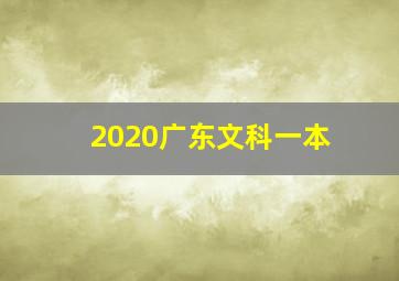 2020广东文科一本