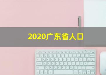 2020广东省人口