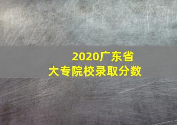 2020广东省大专院校录取分数