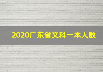 2020广东省文科一本人数