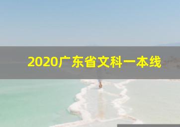 2020广东省文科一本线