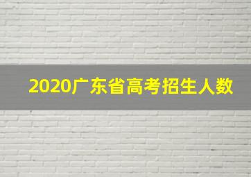 2020广东省高考招生人数