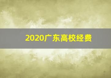 2020广东高校经费