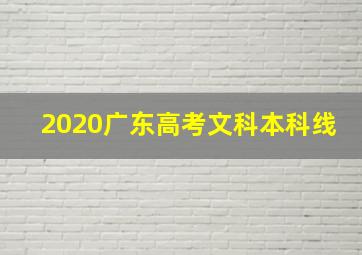 2020广东高考文科本科线