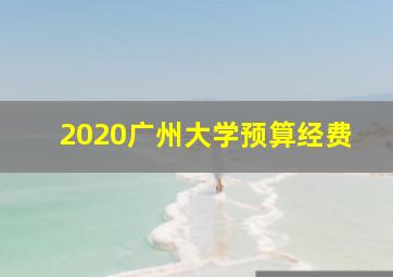 2020广州大学预算经费