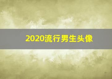 2020流行男生头像