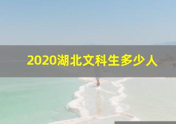 2020湖北文科生多少人