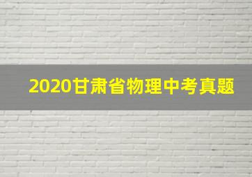 2020甘肃省物理中考真题