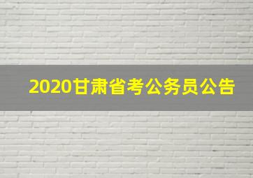 2020甘肃省考公务员公告