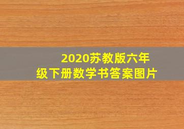 2020苏教版六年级下册数学书答案图片