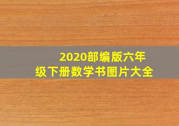 2020部编版六年级下册数学书图片大全