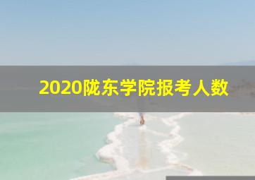 2020陇东学院报考人数