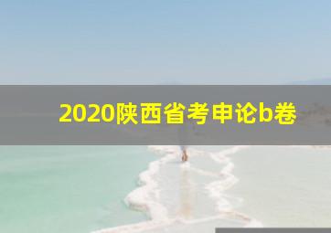 2020陕西省考申论b卷