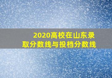 2020高校在山东录取分数线与投档分数线