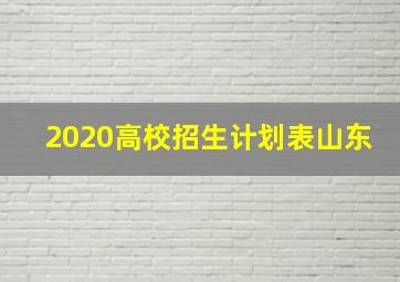 2020高校招生计划表山东