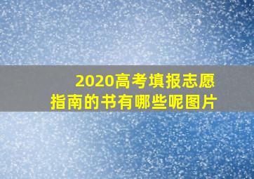 2020高考填报志愿指南的书有哪些呢图片