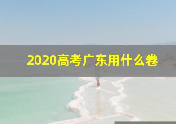 2020高考广东用什么卷