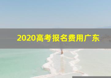 2020高考报名费用广东